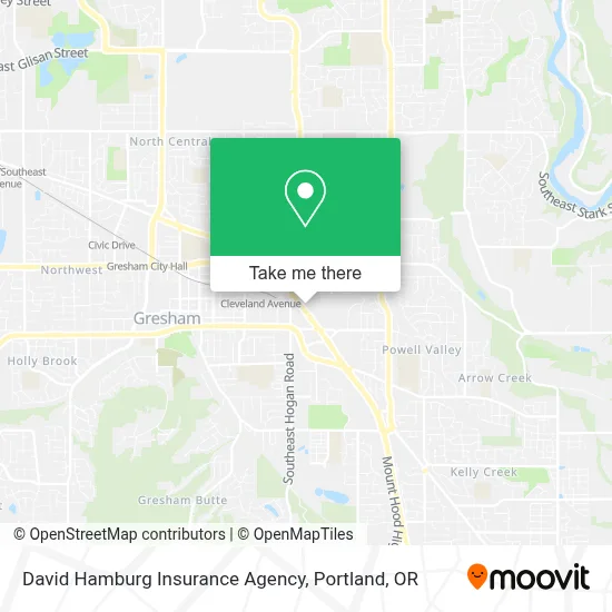David Hamburg Insurance Agency map