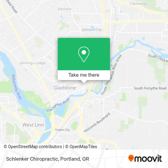 Schlenker Chiropractic map