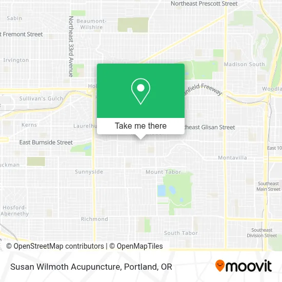 Susan Wilmoth Acupuncture map