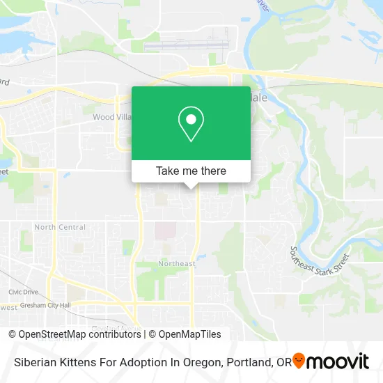 Siberian Kittens For Adoption In Oregon map