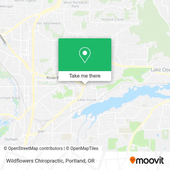 Wildflowers Chiropractic map