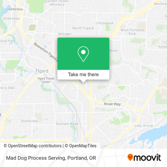 Mad Dog Process Serving map