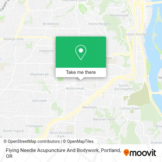 Flying Needle Acupuncture And Bodywork map