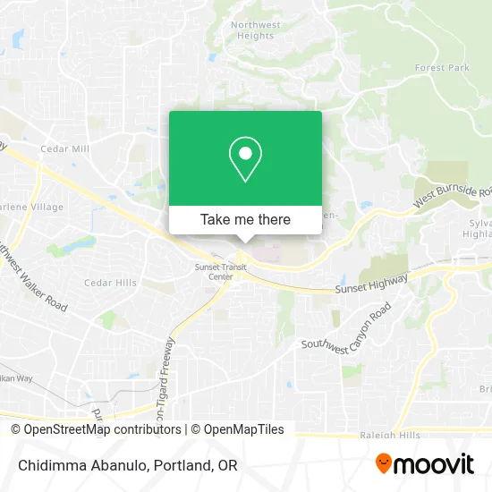 Chidimma Abanulo map