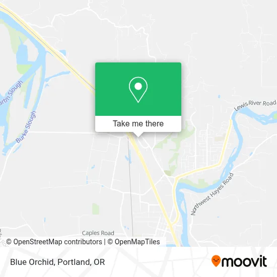 Blue Orchid map