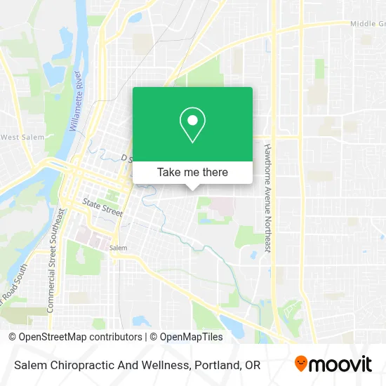 Salem Chiropractic And Wellness map