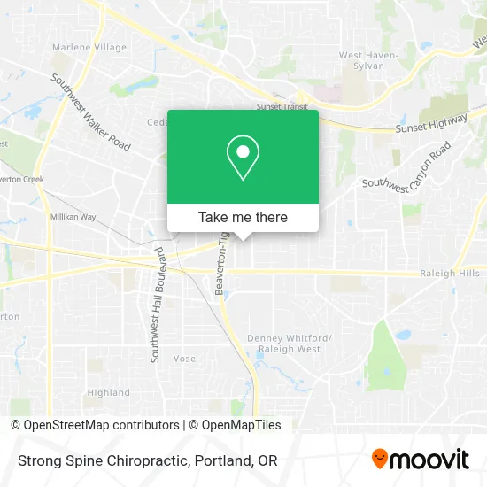 Strong Spine Chiropractic map