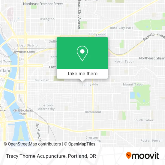 Tracy Thorne Acupuncture map