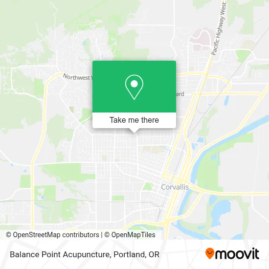 Balance Point Acupuncture map