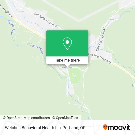 Welches Behavioral Health Llc map