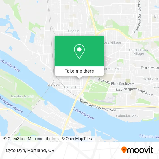 Cyto Dyn map