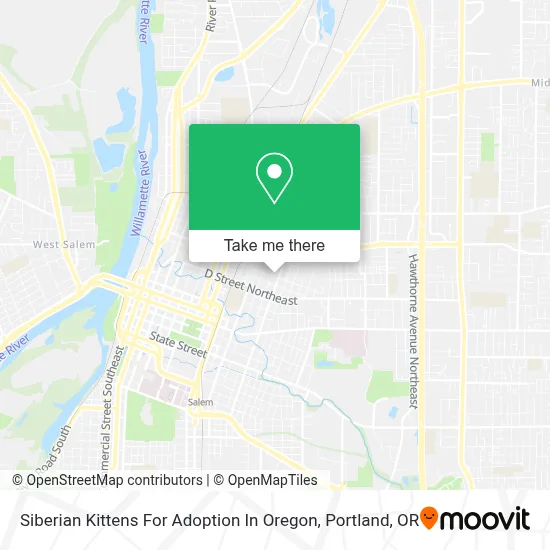 Siberian Kittens For Adoption In Oregon map