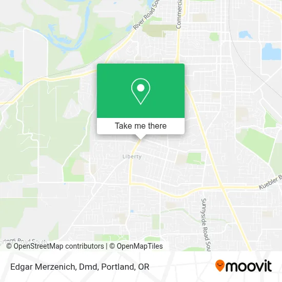 Edgar Merzenich, Dmd map