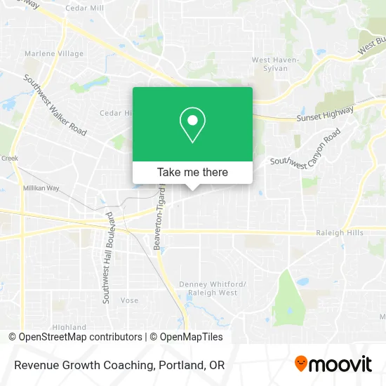 Revenue Growth Coaching map