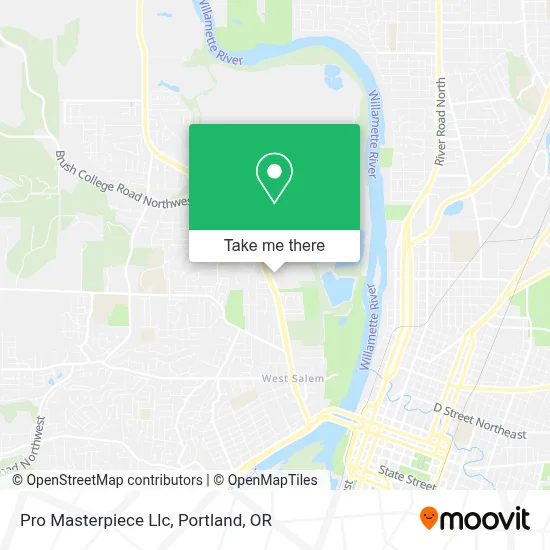 Pro Masterpiece Llc map