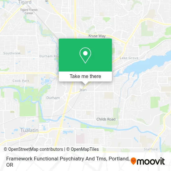 Framework Functional Psychiatry And Tms map
