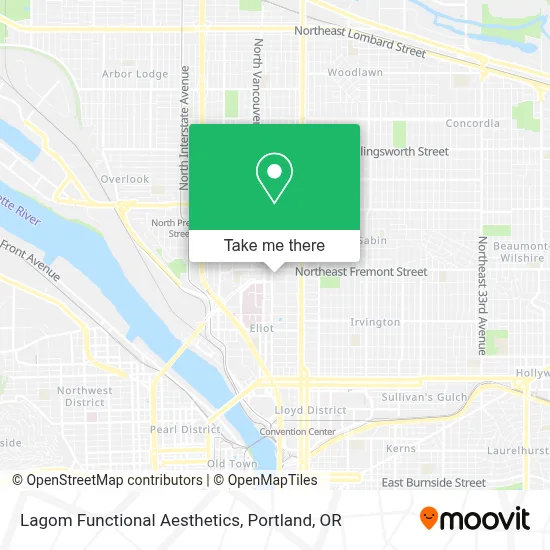 Lagom Functional Aesthetics map