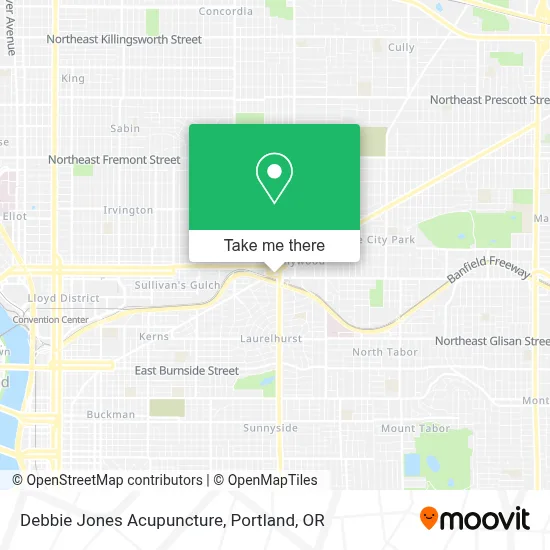 Debbie Jones Acupuncture map