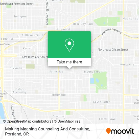 Making Meaning Counseling And Consulting map