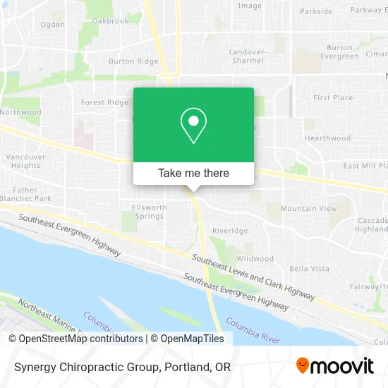 Synergy Chiropractic Group map