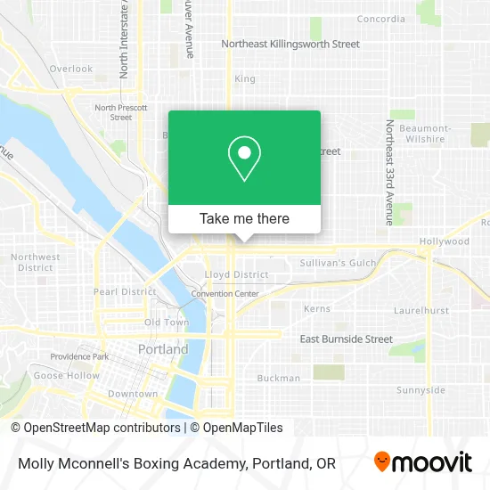 Molly Mconnell's Boxing Academy map