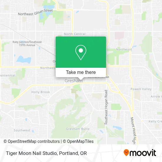 Tiger Moon Nail Studio map