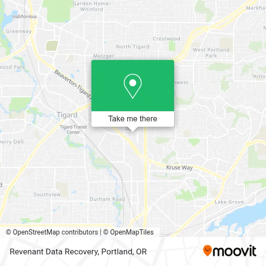Revenant Data Recovery map