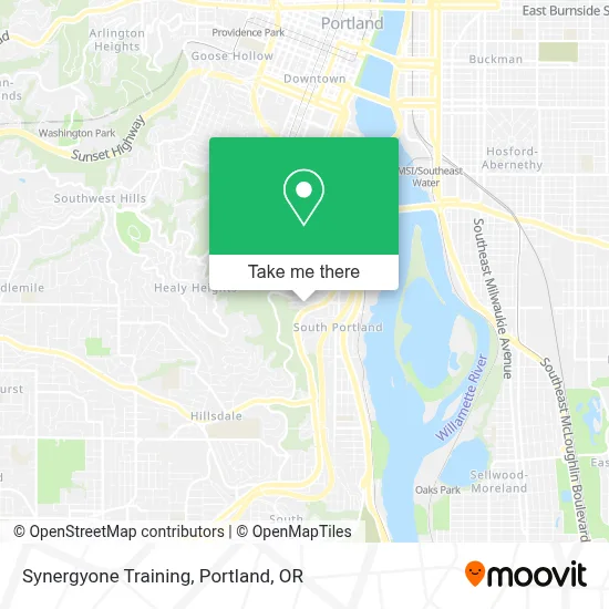 Synergyone Training map