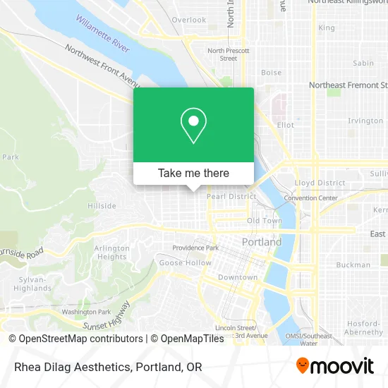 Rhea Dilag Aesthetics map