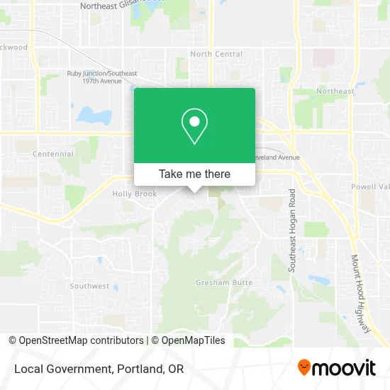 Local Government map