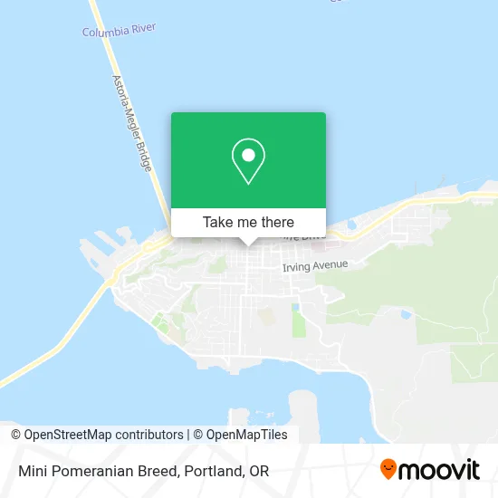 Mini Pomeranian Breed map