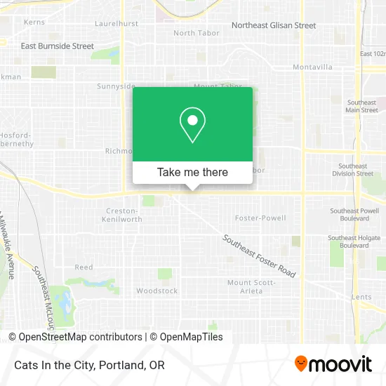 Cats In the City map