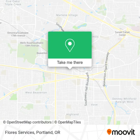 Flores Services map