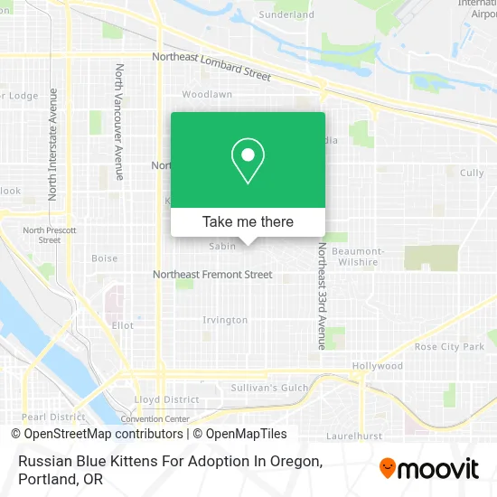 Russian Blue Kittens For Adoption In Oregon map