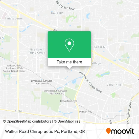 Walker Road Chiropractic Pc map