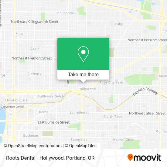Roots Dental - Hollywood map
