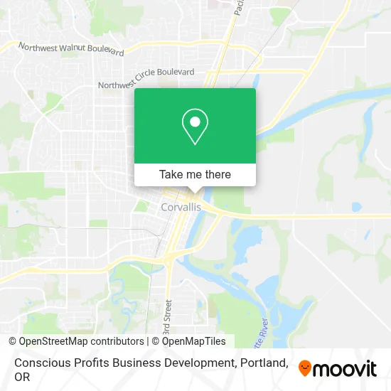 Conscious Profits Business Development map