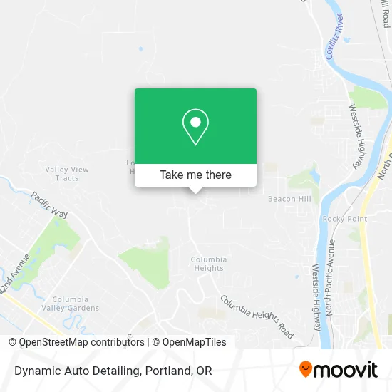 Dynamic Auto Detailing map