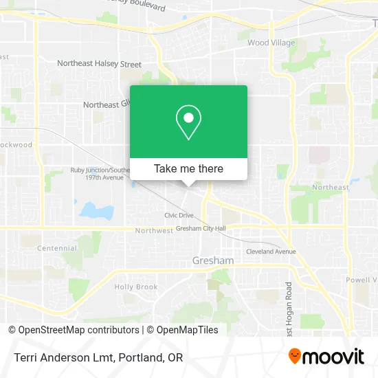 Terri Anderson Lmt map
