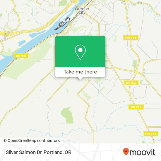 Silver Salmon Dr map