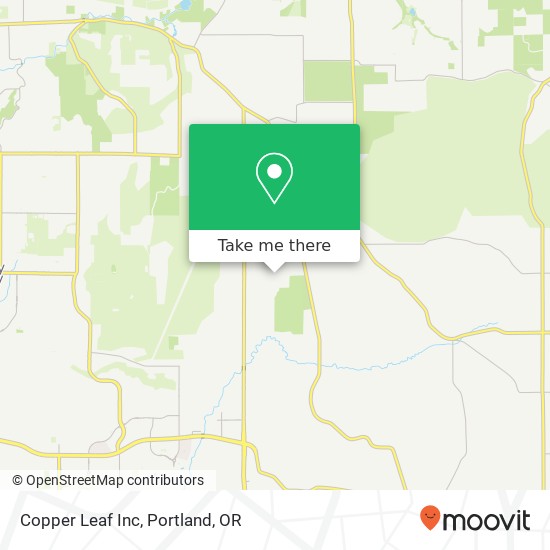 Copper Leaf Inc map