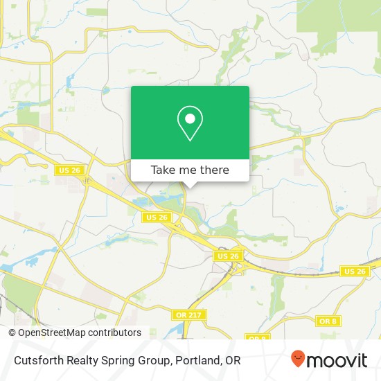 Cutsforth Realty Spring Group map