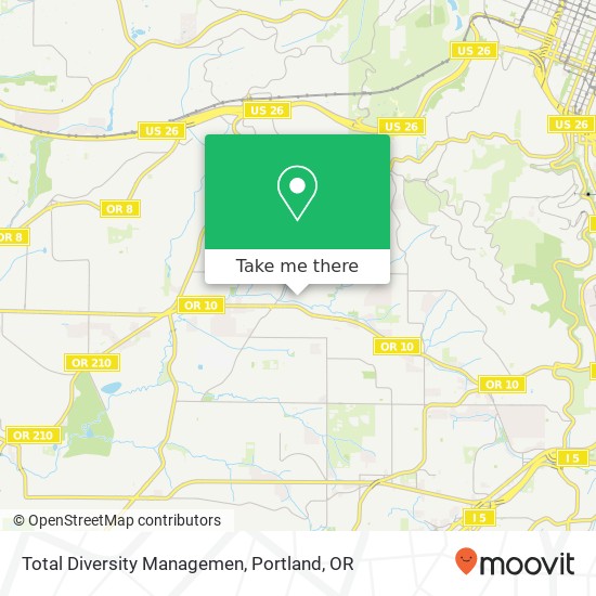 Mapa de Total Diversity Managemen