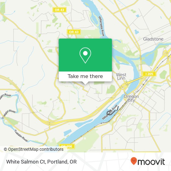 White Salmon Ct map