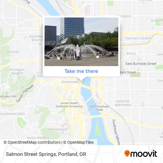 Salmon Street Springs map