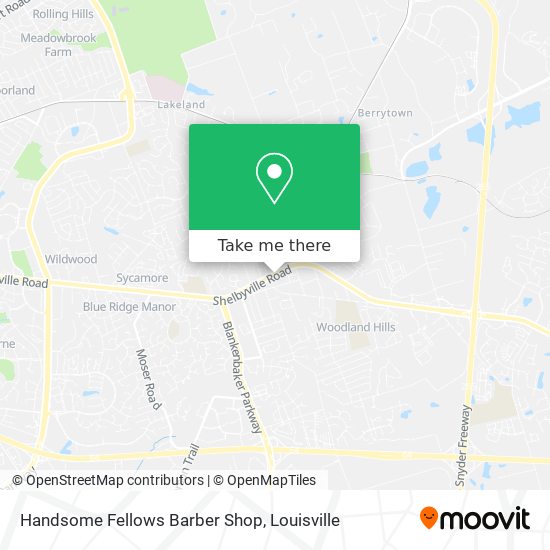 Handsome Fellows Barber Shop map