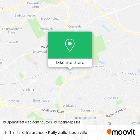 Fifth Third Insurance - Kelly Zullo map