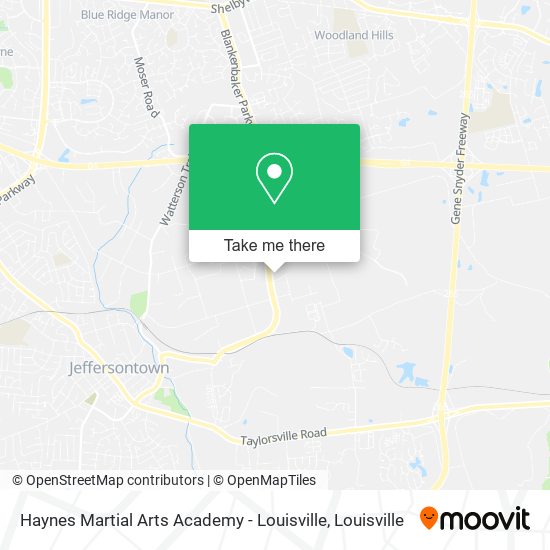 Mapa de Haynes Martial Arts Academy - Louisville