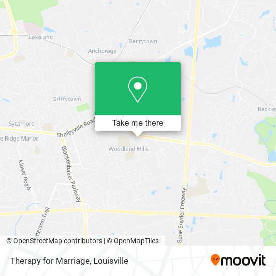 Therapy for Marriage map