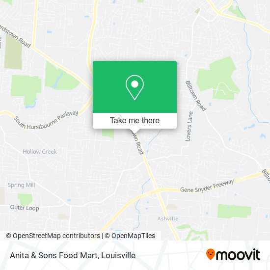 Anita & Sons Food Mart map